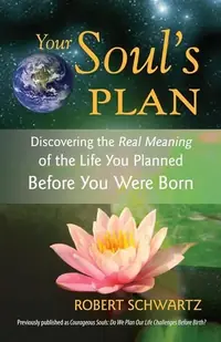 Your Soul's Plan: Discovering the Real Meaning of the Life You Planned Before You Were Born — photo 2